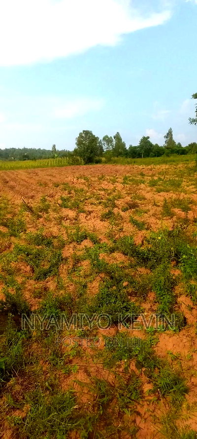 Gem Apuoche - Image 2