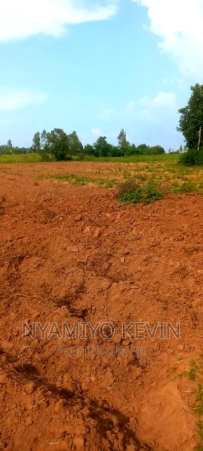 Gem Apuoche - Image 1