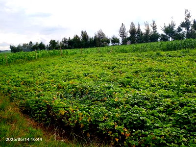 Plots on Sale - Image 6