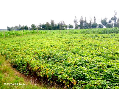 Plots on Sale - Image 5