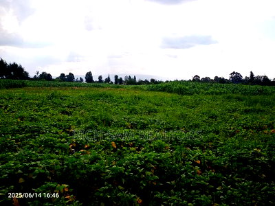 Plots on Sale - Image 8