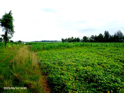 Plots on Sale - Image 7