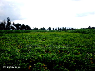 Plots on Sale - Image 2