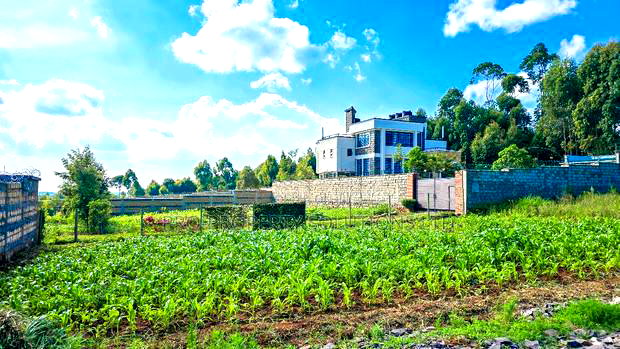 Prime Plot For Sale In Kikuyu, Gikambura.