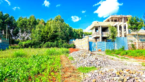 Prime Plot For Sale In Kikuyu, Gikambura.