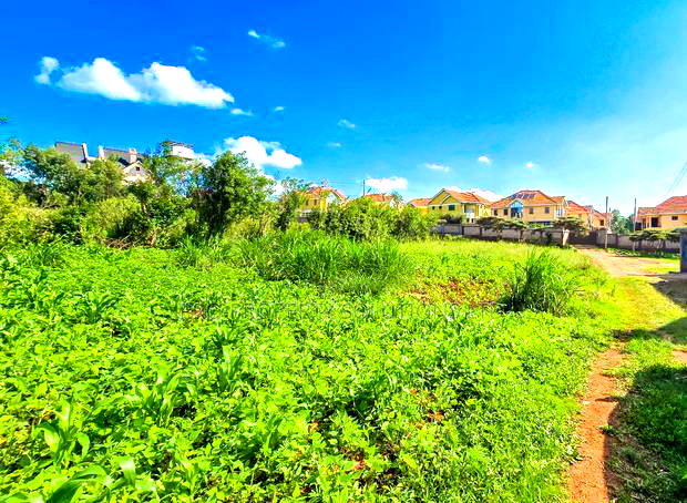 Prime Plot For Sale In Kikuyu, Gikambura.