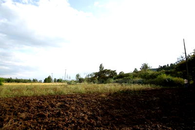 Invest in Prime Land in Kikuyu Nachu - Image 1