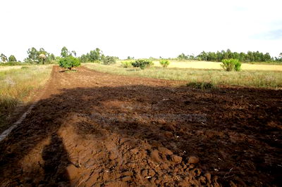 Invest in Prime Land in Kikuyu Nachu - Image 3