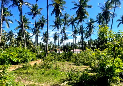 2-Acre Plot in Watamu South