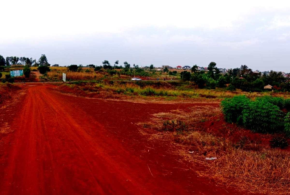 50x100 Plot with Garden at KSh 3.5M