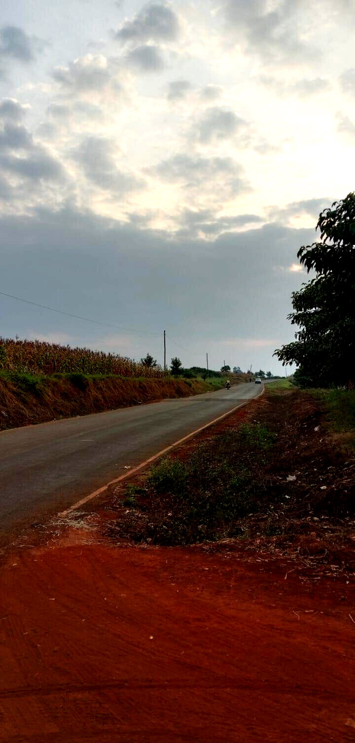 50x100 Plot with Garden at KSh 3.5M