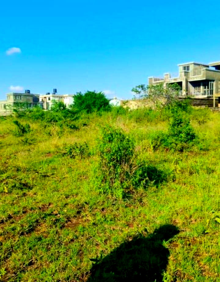 50x100 Plot with Garden at KSh 3.5M