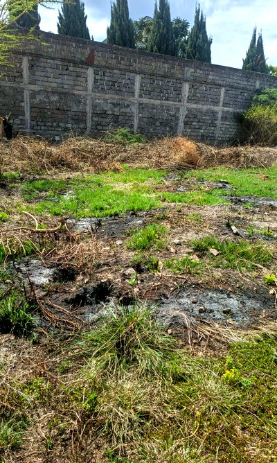50x100 Plot at KSh 3.8M in Ongata Rongai