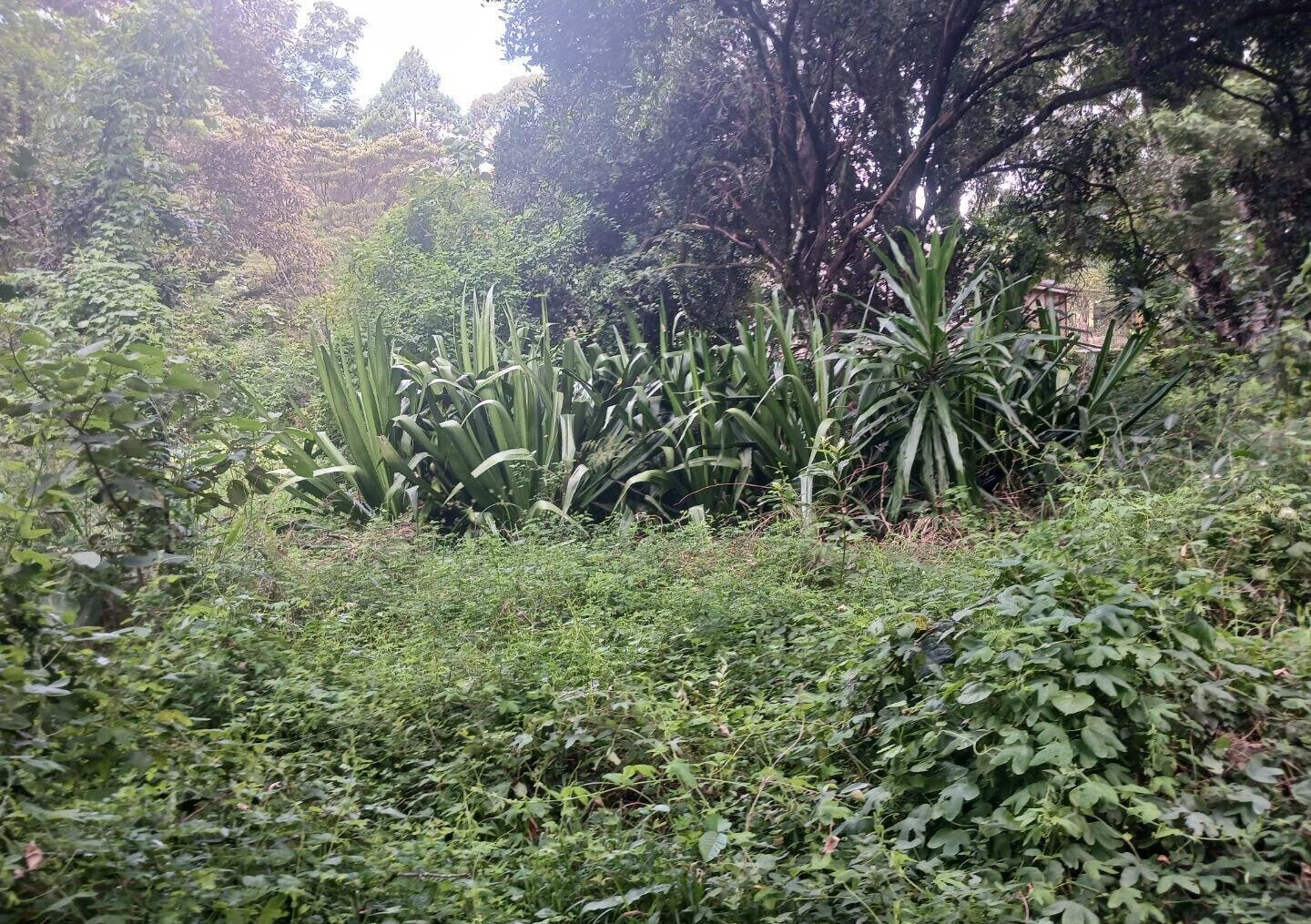 Pet Friendly 1-Acre Plot at KSh 150M