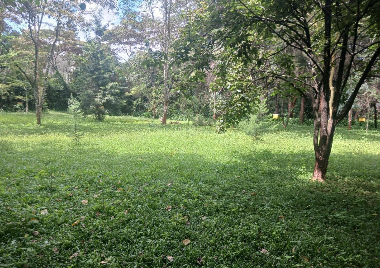 Pet Friendly 1-Acre Plot at KSh 150M