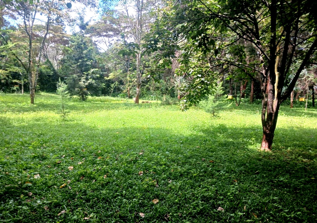 Pet Friendly 1-Acre Plot at KSh 150M