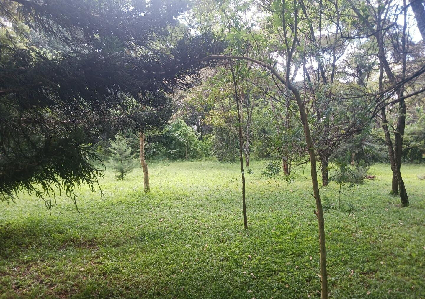 Pet Friendly 1-Acre Plot at KSh 150M