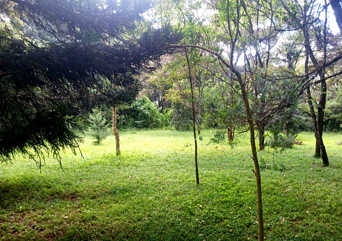 Pet Friendly 1-Acre Plot at KSh 150M