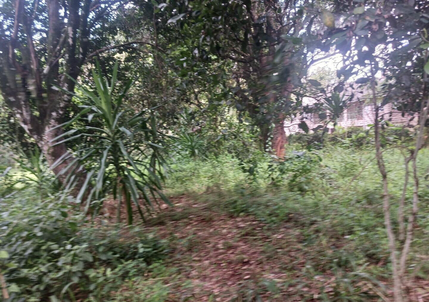 Pet Friendly 1-Acre Plot at KSh 150M