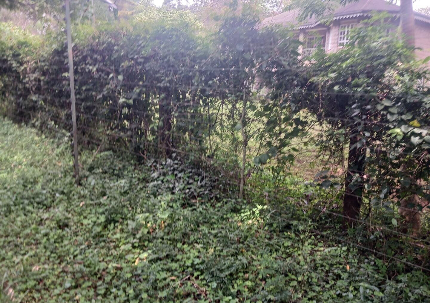 Pet Friendly 1-Acre Plot at KSh 150M