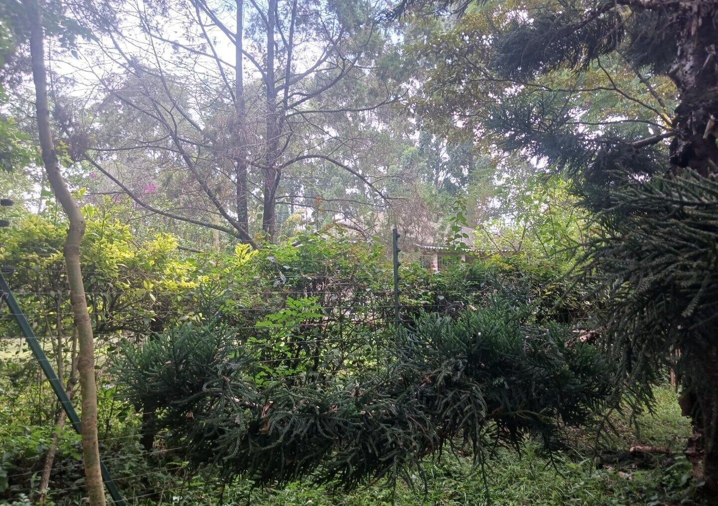Pet Friendly 1-Acre Plot at KSh 150M