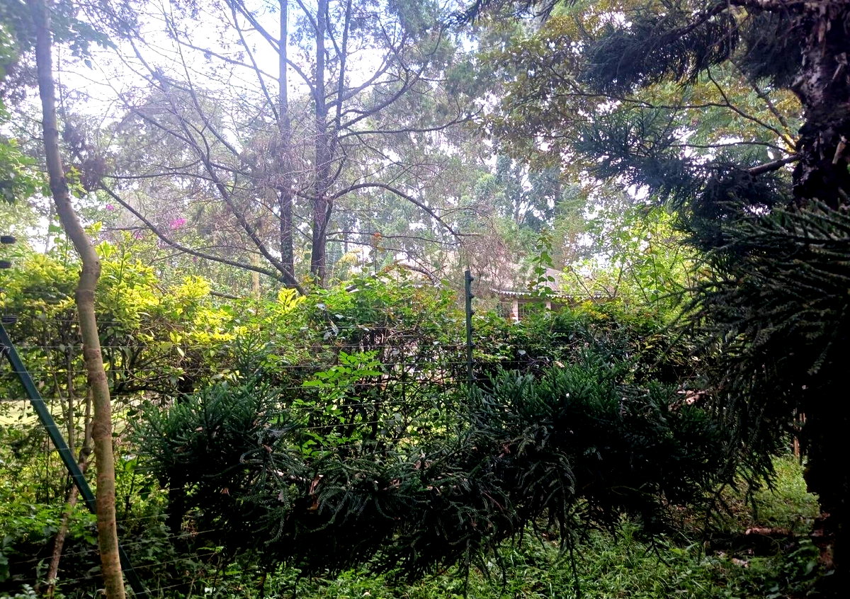 Pet Friendly 1-Acre Plot at KSh 150M