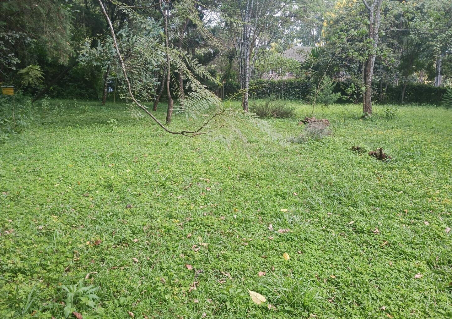 Pet Friendly 1-Acre Plot at KSh 150M