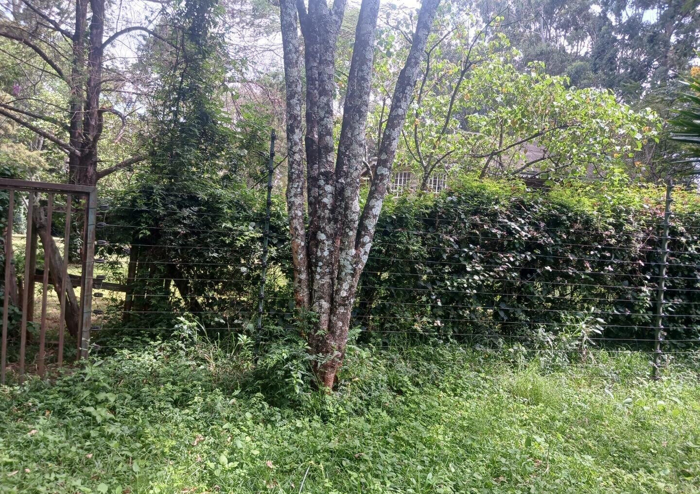Pet Friendly 1-Acre Plot at KSh 150M