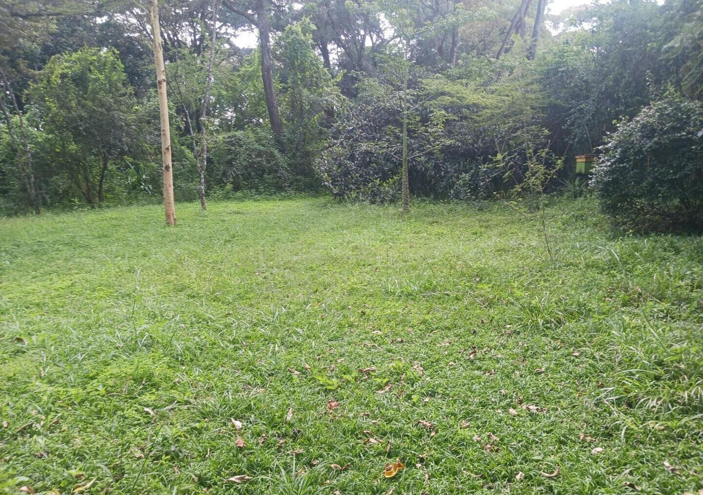 Pet Friendly 1-Acre Plot at KSh 150M