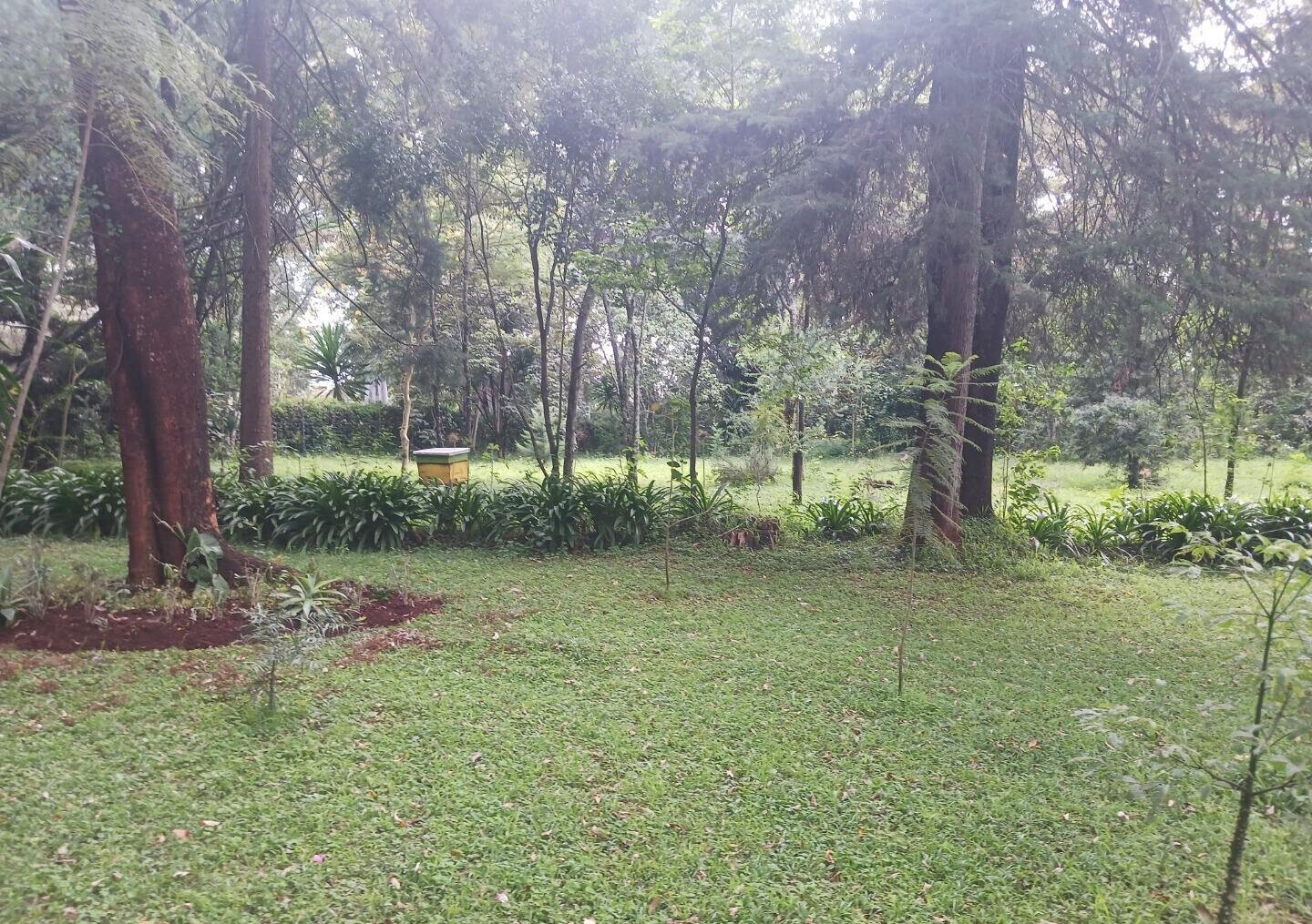 Pet Friendly 1-Acre Plot at KSh 150M