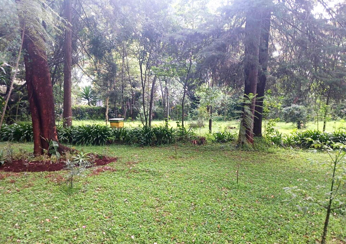 Pet Friendly 1-Acre Plot at KSh 150M