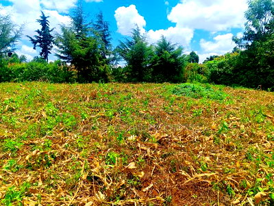 Residential Plot for Sale in Kikuyu, Gikambura! - Image 5