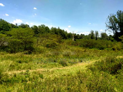 Eighth Acre Plot in Kerarapon Ngong, Touching Tarmac - Image 4