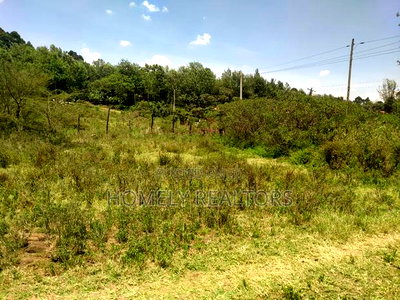 Eighth Acre Plot in Kerarapon Ngong, Touching Tarmac - Image 3