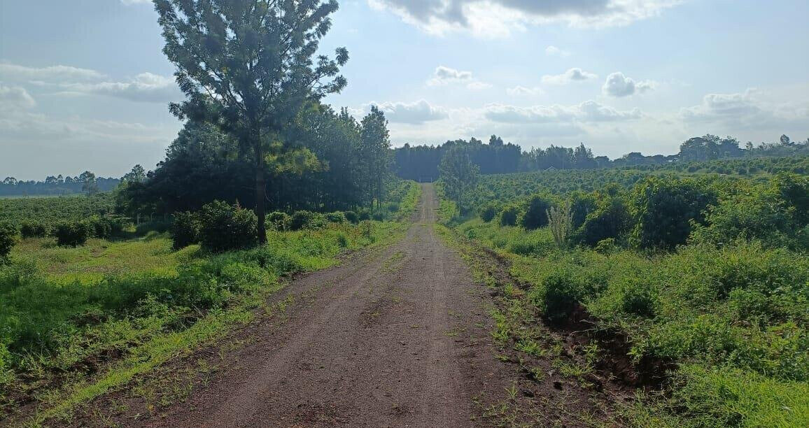 KSh 2M Serviced Plot in Thika