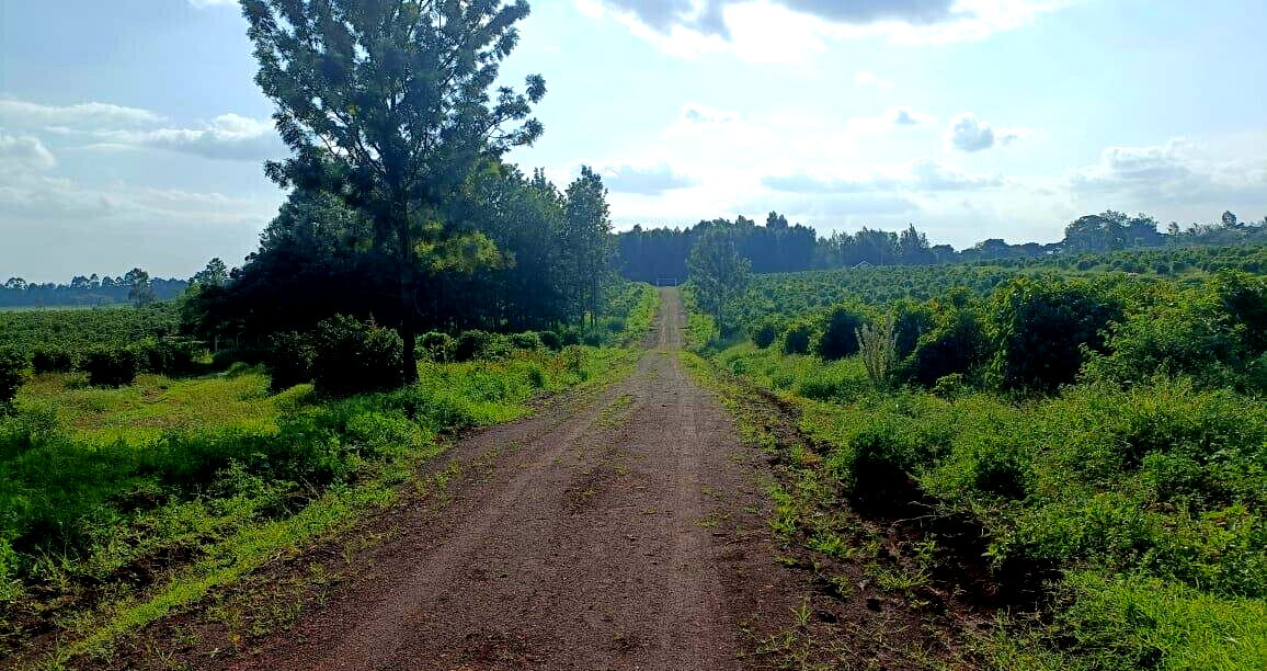 KSh 2M Serviced Plot in Thika