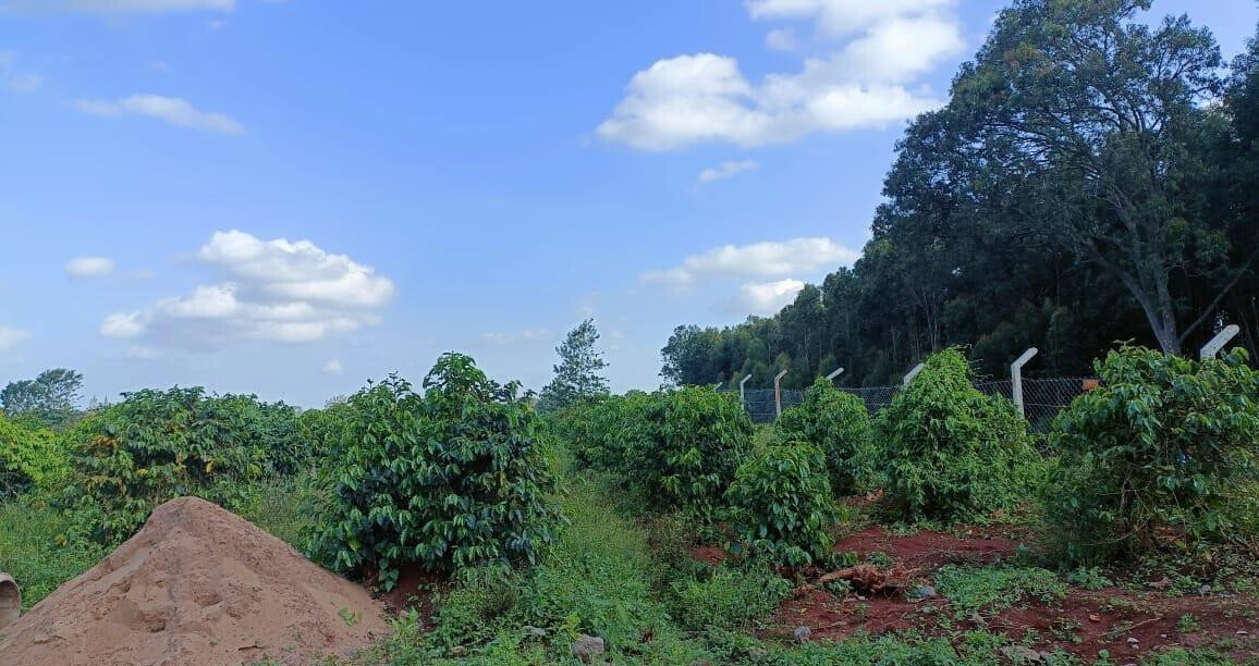 KSh 2M Serviced Plot in Thika