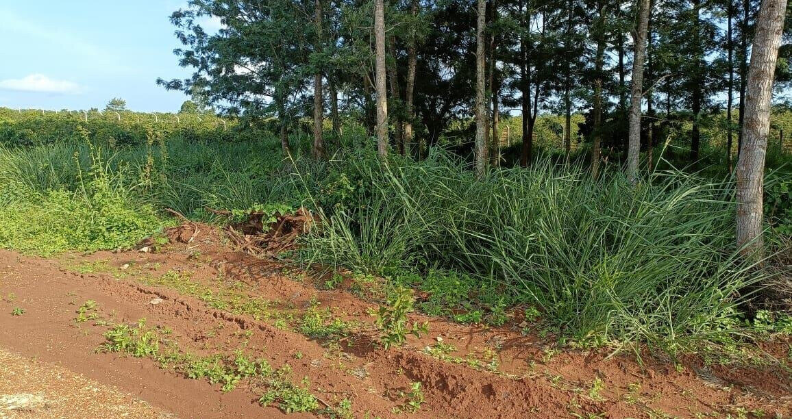 KSh 2M Serviced Plot in Thika