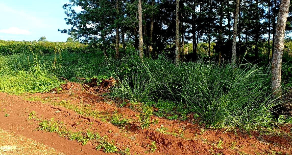 KSh 2M Serviced Plot in Thika