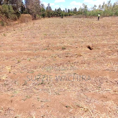 Mwea Makutano 50x100ft Plots for Sale at 950,000 - Image 4
