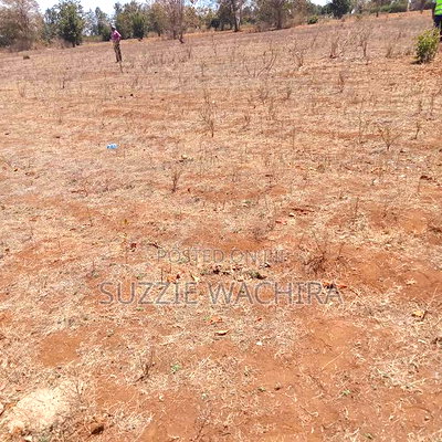 Mwea Makutano 50x100ft Plots for Sale at 950,000 - Image 3