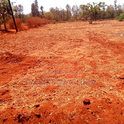 Mwea Makutano 50x100ft Plots for Sale at 950,000 - Image 5