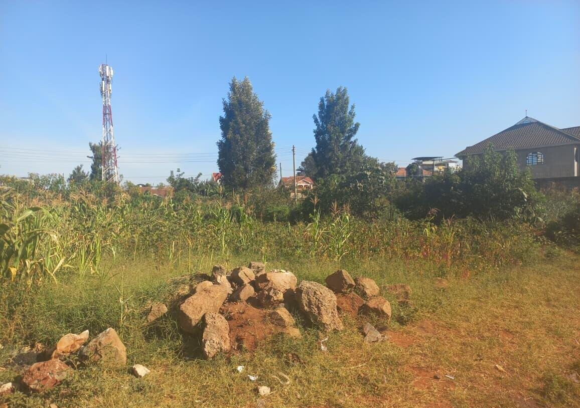 Quarter Acre Garden Plot with Parking - KSh 4.5M