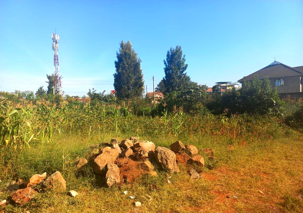 Quarter Acre Garden Plot with Parking - KSh 4.5M