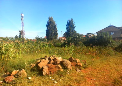 Quarter Acre Garden Plot with Parking - KSh 4.5M