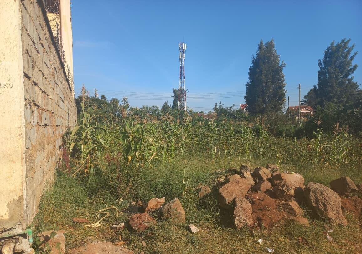 Quarter Acre Garden Plot with Parking - KSh 4.5M