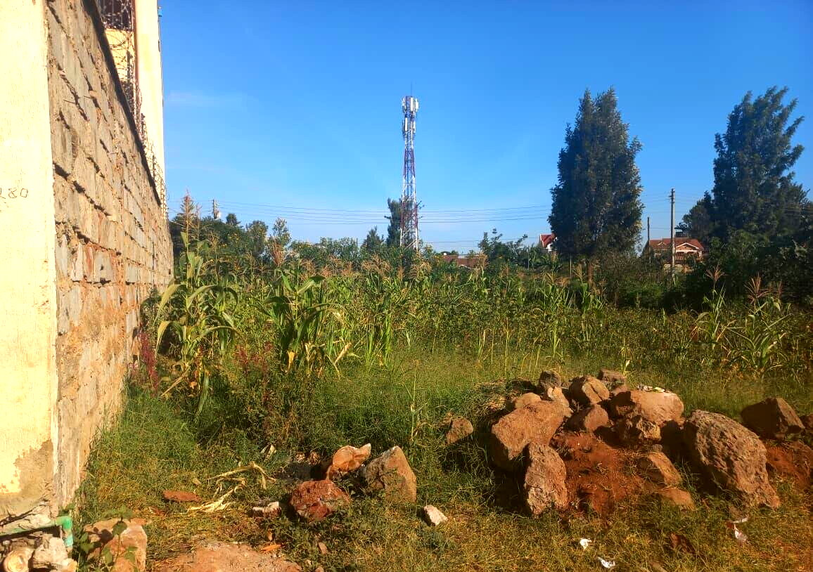 Quarter Acre Garden Plot with Parking - KSh 4.5M
