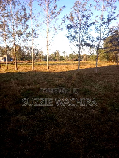40*80 Plots at Kenol Kagaa for Sale Commercial/Residential - Image 2