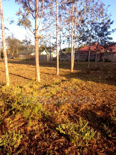 40*80 Plots at Kenol Kagaa for Sale Commercial/Residential - Image 5
