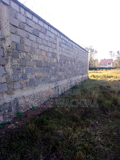 40*80 Plots at Kenol Kagaa for Sale Commercial/Residential - Image 3